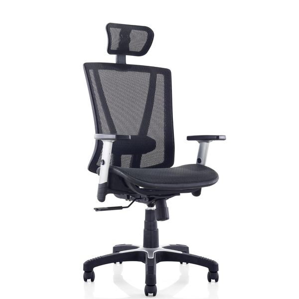 ErgoMax Easy Ergonomic Mesh Office Chair with Headrest — MSH112