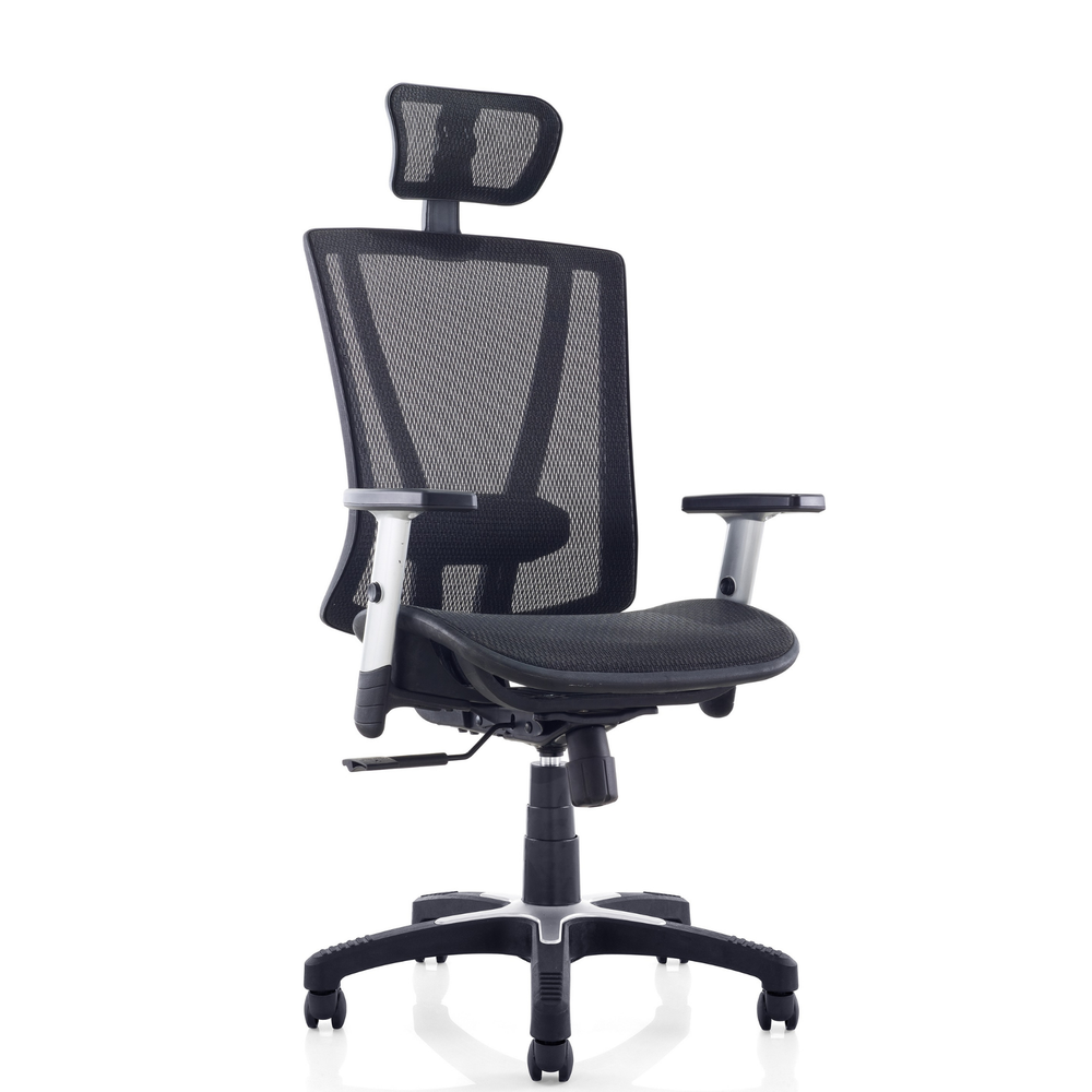 ErgoMax Easy Ergonomic Mesh Office Chair with Headrest — MSH112