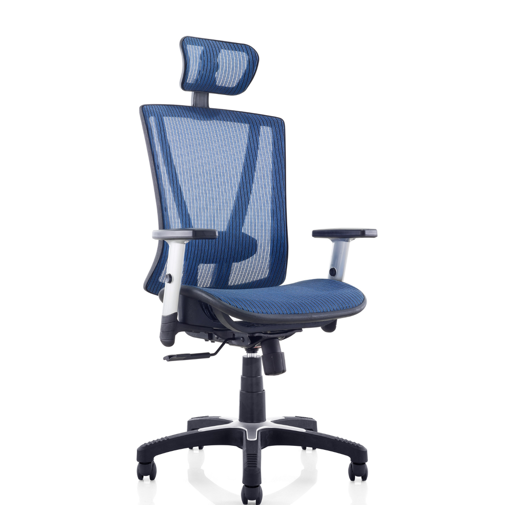 ErgoMax Easy Ergonomic Mesh Office Chair with Headrest — MSH112